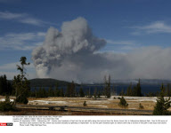 WY: ARNICA FOREST FIRE IN YELLOWSTONE PARK