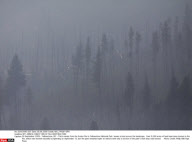 WY: ARNICA FOREST FIRE IN YELLOWSTONE PARK