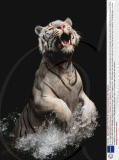 A rare white tiger bursts out of the water at Singapore Zoo, Singapore - 28 Sep 2009