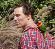 EXCLUSIVE Matthew McConaughey got a parakeet