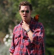 EXCLUSIVE Matthew McConaughey got a parakeet _Part2