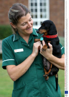 Paralysed dog walks again after pioneering treatment, Cambridge University, Cambridgeshire, Britain - 07 Oct 2009