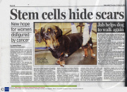 Paralysed dog walks again after pioneering treatment, Cambridge University, Cambridgeshire, Britain - 07 Oct 2009