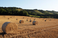 Various - 2009