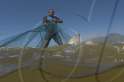 MARINE WILDLIFE