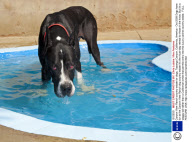 Canyon View Ranch country estate for dogs, Topanga Canyon, California, America - Oct 2009