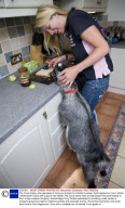 The Crane family, who specialise in hiring out animals for children's parties, East Hagbourne, Oxon, Britain - 2009