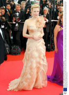 'Blindness' film premiere at the 61st Cannes Film Festival, Cannes, France - 14 May 2008