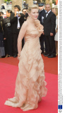 'Blindness' film premiere at the 61st Cannes Film Festival, Cannes, France - 14 May 2008
