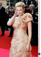 'Blindness' film premiere at the 61st Cannes Film Festival, Cannes, France - 14 May 2008
