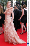 'Blindness' film premiere at the 61st Cannes Film Festival, Cannes, France - 14 May 2008