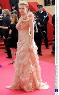 'Blindness' film premiere at the 61st Cannes Film Festival, Cannes, France - 14 May 2008