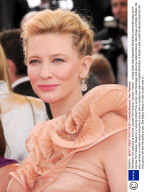 'Blindness' film premiere at the 61st Cannes Film Festival, Cannes, France - 14 May 2008