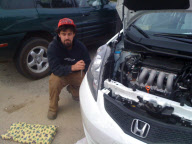 Coyote struck by car found alive 8 hours later, Nevada-Utah border, America - Oct 2009