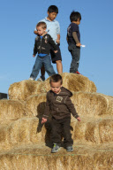 *EXCLUSIVE* Kevin Federline takes his boys to the Pumpkin Patch - Part 2