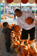 *EXCLUSIVE* Kevin Federline takes his boys to the Pumpkin Patch - Part 2