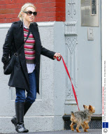 Liev Schreiber and Naomi Watts walking their dog, New York, America - 30 Sep 2009