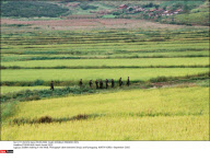 PYONGYANG: North Korea 2005