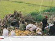 PYONGYANG: North Korea 2005