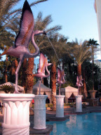 Celebrity hotspots in Las Vegas