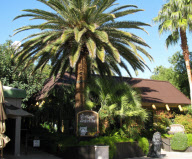 Celebrity hotspots in Las Vegas