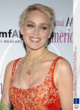 AMERICAN IMAGE AWARDS, NEW YORK, AMERICA - 03 MAY 2004