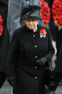 Remembrance Sunday, the Cenotaph, Whitehall, London, Britain - 08 Nov 2009