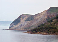 Dog survives 130ft cliff fall, Bridport, Dorset, Britain - Nov 2009