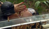 'I'm A Celebrity Get Me Out Of Here!'  TV Programme, Australia - 18 Nov 2009