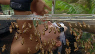 'I'm A Celebrity Get Me Out Of Here!'  TV Programme, Australia - 18 Nov 2009