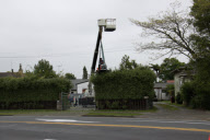 Gardener uses ride-on lawnmower to trim hedge, Cambridge, New Zealand - Nov 2009