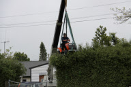Gardener uses ride-on lawnmower to trim hedge, Cambridge, New Zealand - Nov 2009