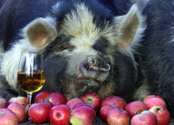 Richard Austin's 2010 'Animal Magic' calendar, Britain - Nov 2009