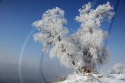 (6)CHINA-JILIN-SONGHUA RIVER-RIME (CN)