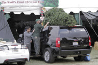 Actress JESSICA ALBA and her husband CASH WARREN taking their daughter HONOR MARIE to buy a huge Christmas tree 