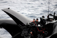 Anti-whaling group Sea Shepherd's trimaran Ady Gil is rammed by Japanese research vessel Shonan Maru, Antarctica - 6 Jan 2010