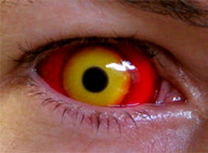 Eye-catching contact lenses by Hollywood special effects artist Kevin Carter, Medford, Oregon, America - 12 Jan 2010