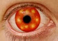 Eye-catching contact lenses by Hollywood special effects artist Kevin Carter, Medford, Oregon, America - 12 Jan 2010