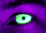 Eye-catching contact lenses by Hollywood special effects artist Kevin Carter, Medford, Oregon, America - 12 Jan 2010