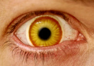 Eye-catching contact lenses by Hollywood special effects artist Kevin Carter, Medford, Oregon, America - 12 Jan 2010