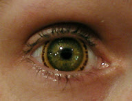 Eye-catching contact lenses by Hollywood special effects artist Kevin Carter, Medford, Oregon, America - 12 Jan 2010