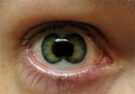 Eye-catching contact lenses by Hollywood special effects artist Kevin Carter, Medford, Oregon, America - 12 Jan 2010