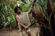 A girl working on a Philippine banana plantation