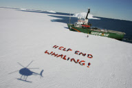 Antarctica Japanese Whaling Protest 