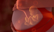 The Ritmo pregnancy sound system - an MP3 player for unborn babies, South Carolina, America - 20 Jan 2010