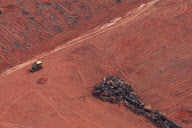 Brazil Soy vs Amazon rainforest 
