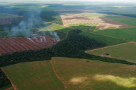 Brazil Soy vs Amazon rainforest 