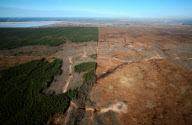 World's largest tar sands deposits spark environmental crisis
