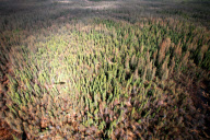 World's largest tar sands deposits spark environmental crisis