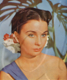 GTV ARCHIVE